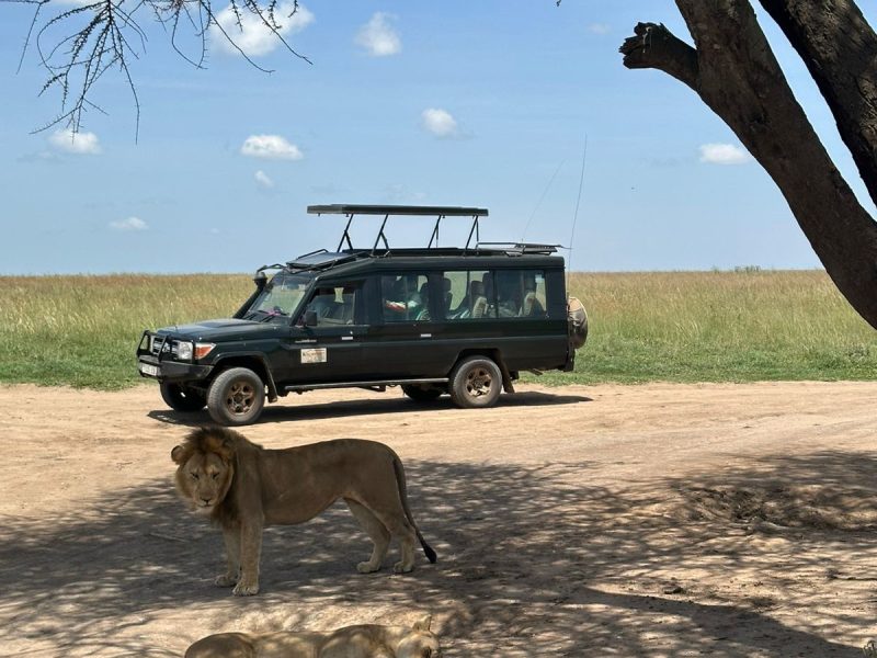 10-Day Kenya Tanzania Budget Safari | Topma Tours & Safaris