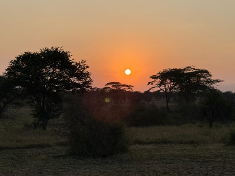 7 Days Kenya Safari & Beach Program | Premium Private Tour