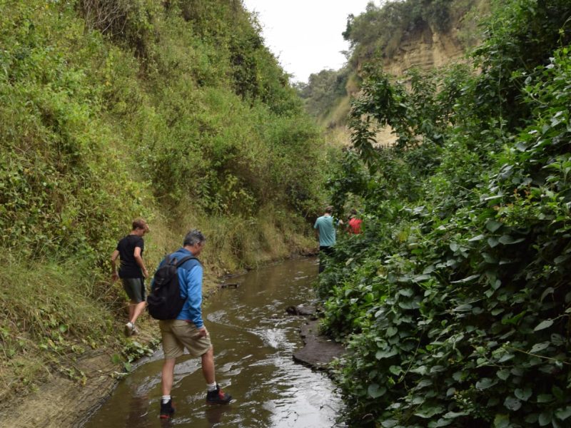 8 Days Private Kenya Safari | Masai Mara, Nakuru, Naivasha & Amboseli