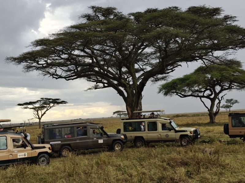 12-Day Magical Kenya, Tanzania & Zanzibar Safari