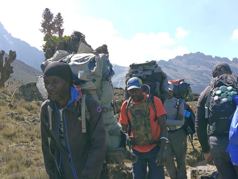 6 Day Mt Kilimanjaro Marangu Route Trek