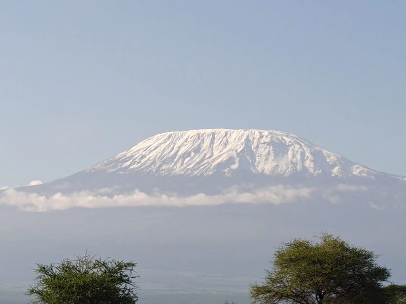 The Kilimanjaro Crown | 3-Day Amboseli Private Safari in Kenya