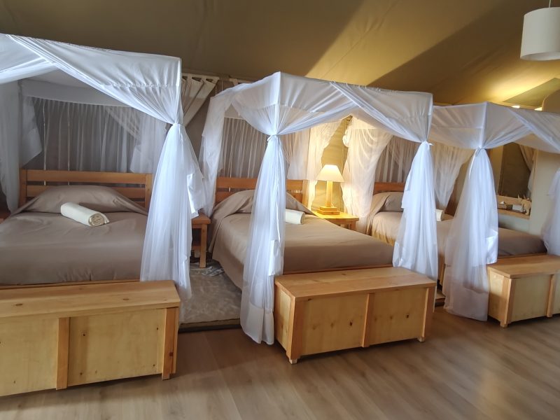 3 Days Ol Pejeta Safari: Best Private Kenya Tour