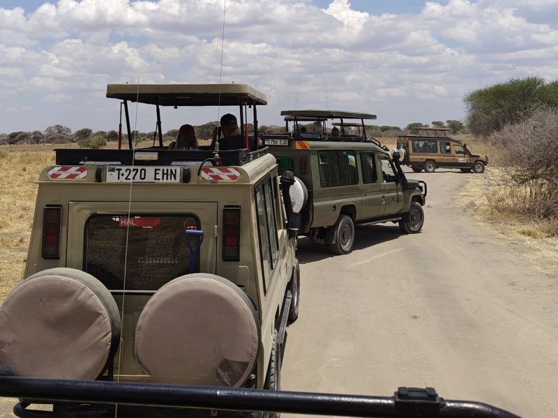 14 Days Kenya and Tanzania Budget Safari | Group Joining