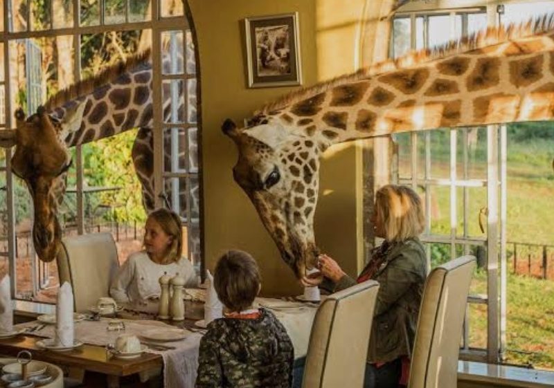 6-Day Luxury Giraffe Manor & Masai Mara Safari